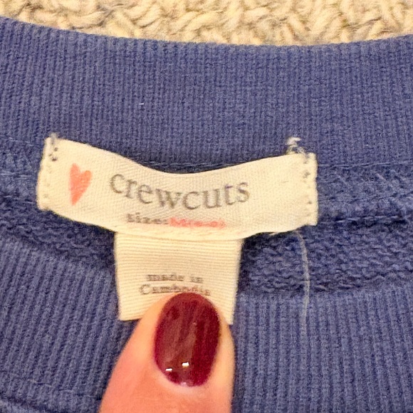 Crewcuts Blue Sweatshirt - Picture 3 of 5